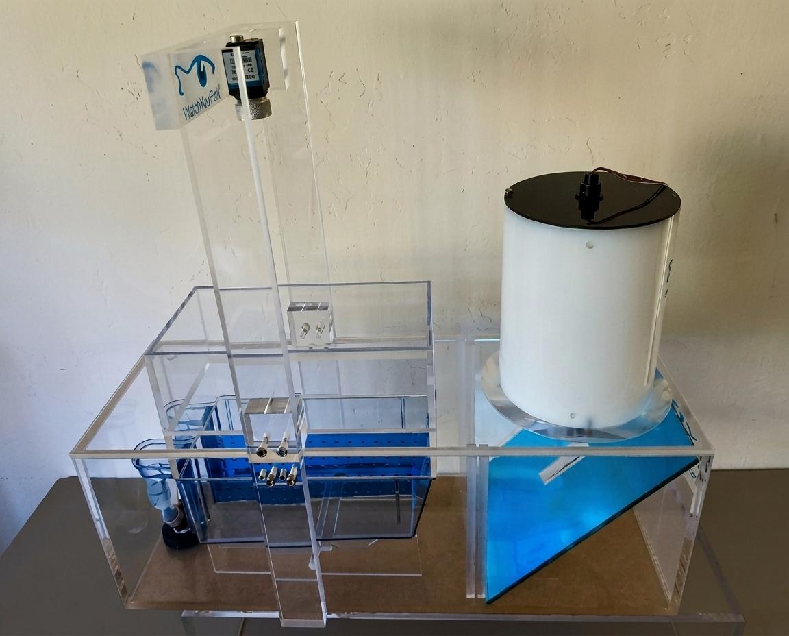 CanaryTank with compartmented aquarium and partitioning wall