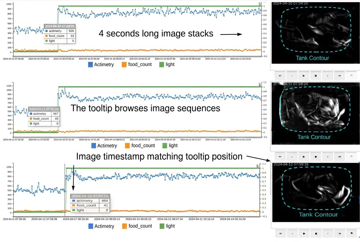 Three stacked multi-day charts of actimetry, food count and light, each with a synchronized image stack